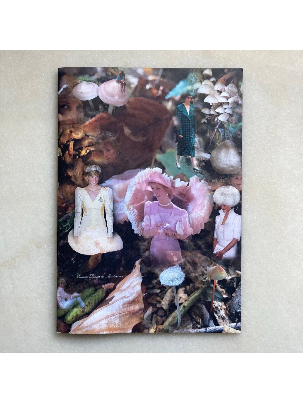 Princess Diana as Mushrooms Zine Art Book Photo Book Lulu Williams Vol 1